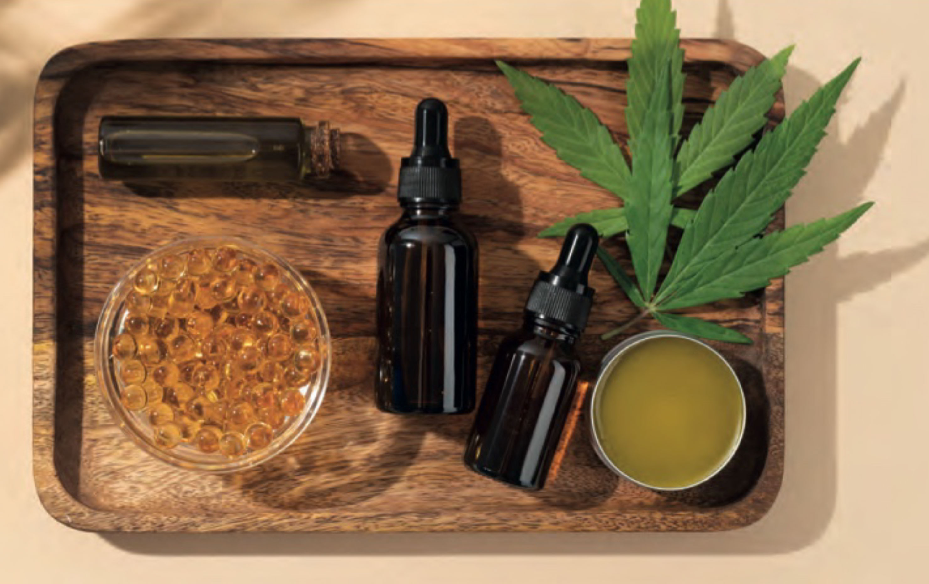 ปลดล็อกกัญชา กัญชง และพืชกระท่อม: เงื่อนไข และผลต่อเศรษฐกิจชุมชน