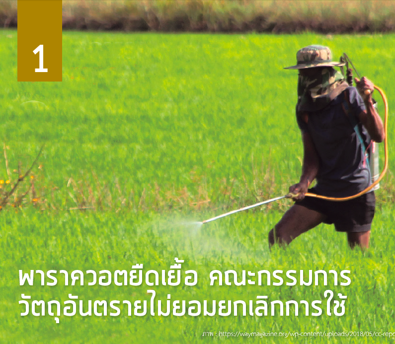 พาราควอตยืดเยื้อ คณะกรรมการวัตถุอันตรายไม่ยอมยกเลิกการใช้