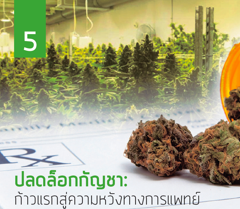  ปลดล็อกกัญชา: ก้าวแรกสู่ความหวังทางการแพทย์