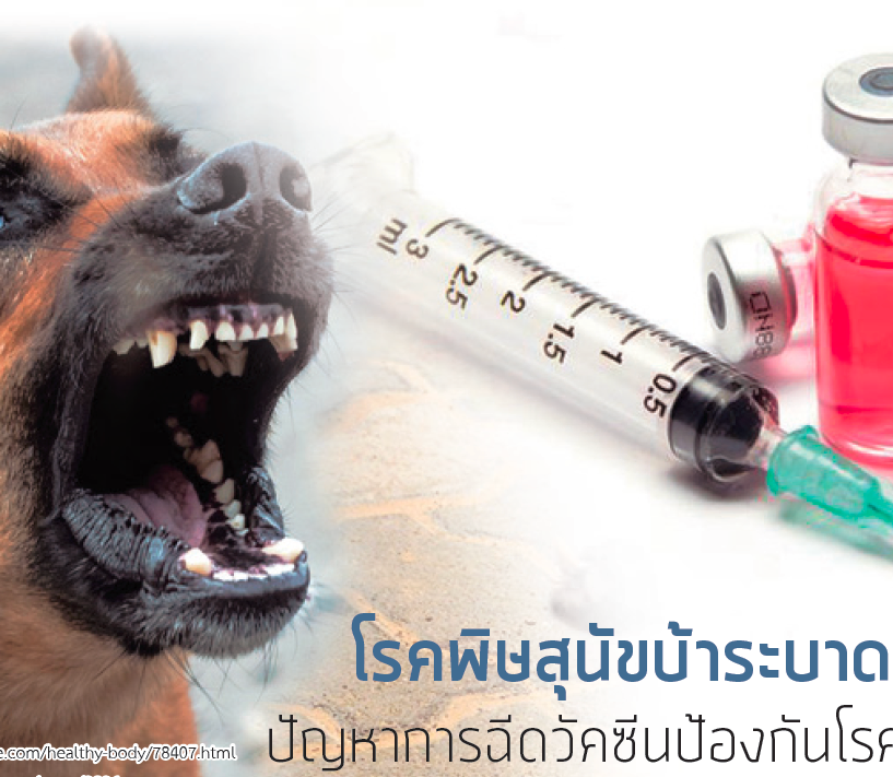  โรคพิษสุนัขบ้าระบาด: ปัญหาการฉีดวัคซีนป้องกันโรค