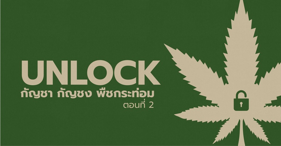 ปลดล็อกกัญชา กัญชง และพืชกระท่อม (ตอนที่ 2)