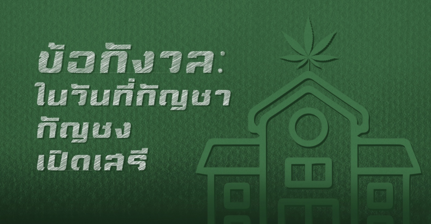ข้อกังวล: ในวันที่กัญชา กัญชง เปิดเสรี