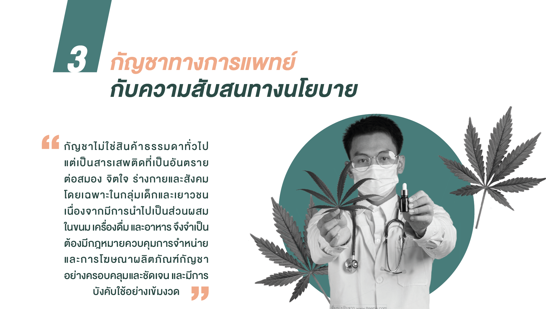 กัญชาทางการแพทย์ กับความสับสนทางนโยบาย
