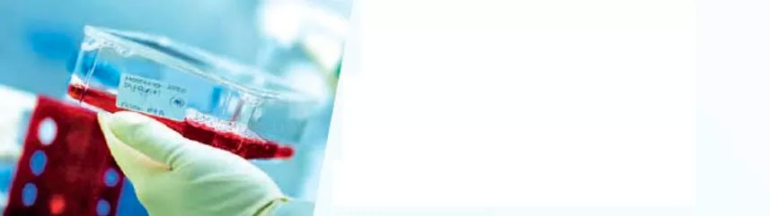 (ใคร) ไทยเข้มแข็ง แห่งกระทรวงสาธารณสุข