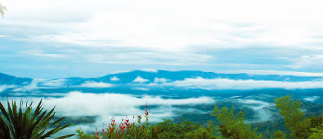 “วังน้ำเขียวโมเดล” ภาพสะท้อนปัญหา คน-ป่า-ที่ดิน