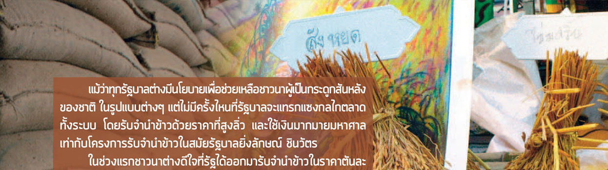  นโยบายรับจำนำข้าว: แก้ปัญหาหรือสร้างปัญหา