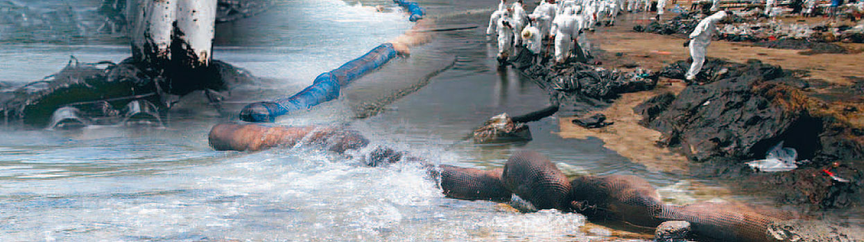  น้ำมันดิบรั่วลงทะเลและแนวทางการจัดการสารพิษในไทย