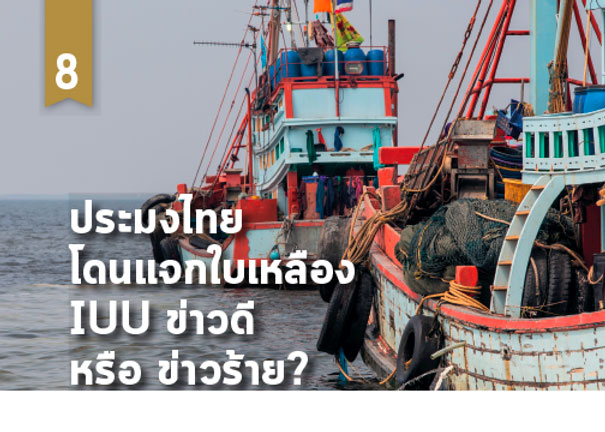  ประมงไทยโดนแจกใบเหลือง IUU ข่าวดี หรือ ข่าวร้าย?